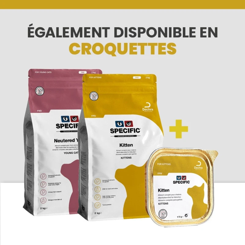 Specific FPW Kitten 12 Specific FPW Kitten – Image 10