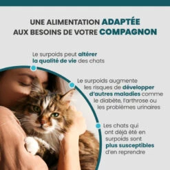 Specific FRW Weight Reduction 16 Specific FRW Weight Reduction -RIMBERIO specific frw weight 3