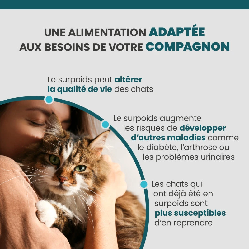 Specific FRW Weight Reduction 6 Specific FRW Weight Reduction – Image 4