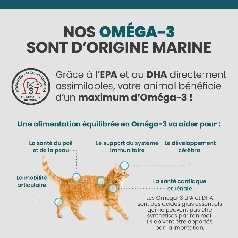 Specific FRW Weight Reduction 10 Specific FRW Weight Reduction – Image 8