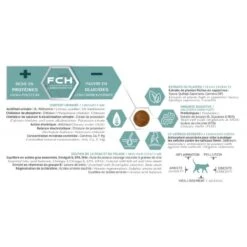 Tonivet Chaton -RIMBERIO tonivet chaton 3