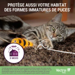 CEVA Vectra Felis -RIMBERIO vectra felis 4