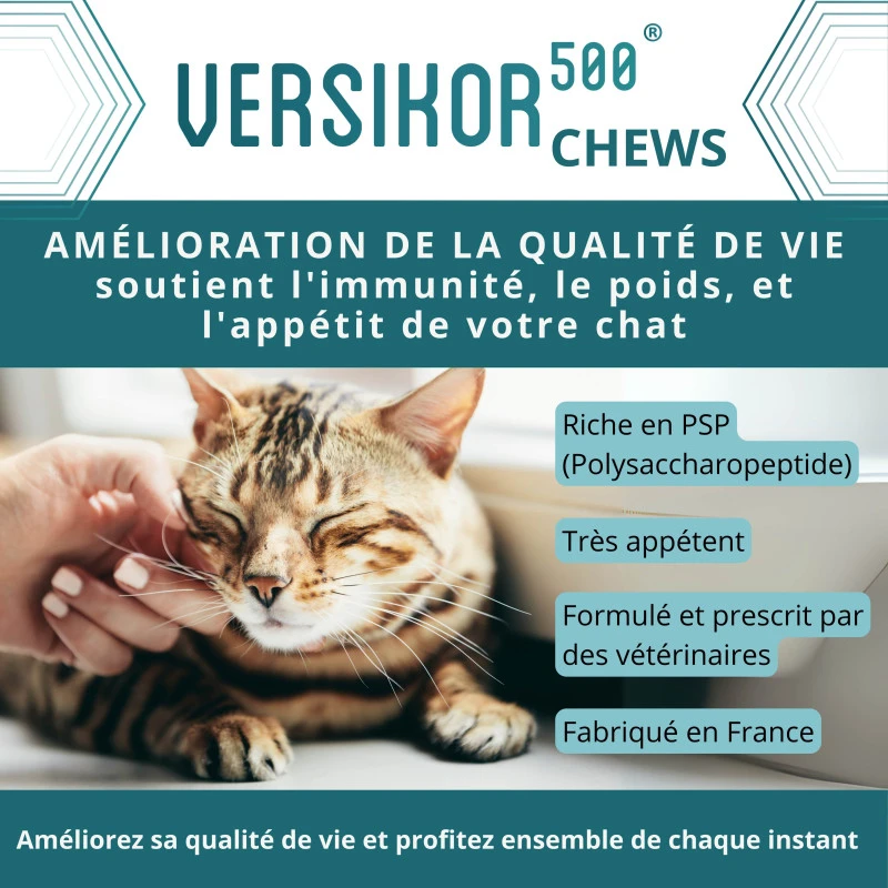 Versikor 500 Chat 4 Versikor 500 Chat – Image 2