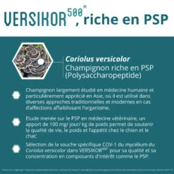 Versikor 500 Chien 8 Versikor 500 Chien -RIMBERIO versikor 500 chien 2