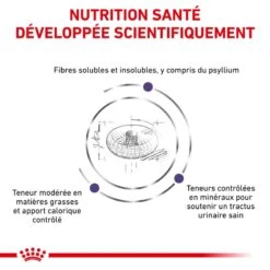 ROYAL CANIN Adult Small Dog 14 ROYAL CANIN Adult Small Dog -RIMBERIO vet care nutrition adult small dog 4