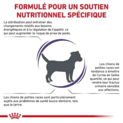 ROYAL CANIN Adult Small Dog 15 ROYAL CANIN Adult Small Dog -RIMBERIO vet care nutrition adult small dog 5