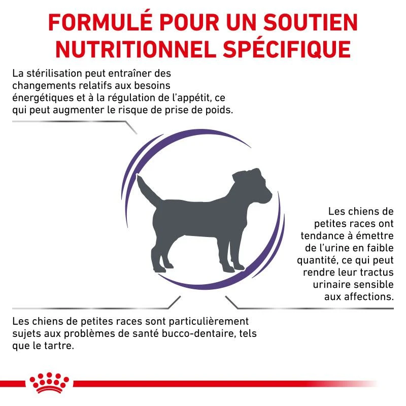 ROYAL CANIN Adult Small Dog 8 ROYAL CANIN Adult Small Dog – Image 6