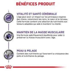 ROYAL CANIN Mature Consult Medium Dog -RIMBERIO vet care nutrition mature 4