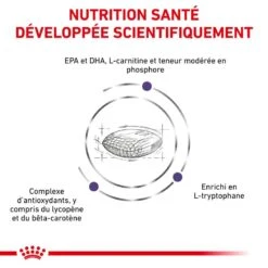 ROYAL CANIN Mature Consult Medium Dog -RIMBERIO vet care nutrition mature 5