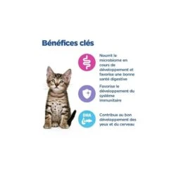 Vet Essentials Chat Multi-Benefit Kitten Poulet -RIMBERIO vet essentials chat multi benefit kitten poulet 2