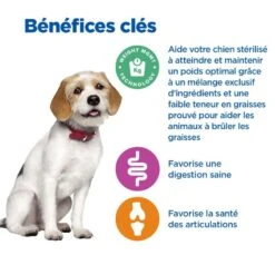 Vet Essentials Chien Multi-Benefit + Weight Adult 1+ Medium Poulet -RIMBERIO vet essentials chien multi benefit weight adult 1 medium poulet 3