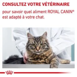 ROYAL CANIN Veterinary Health Nutrition Cat Calm -RIMBERIO veterinary diet cat calm 7