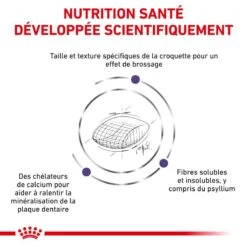 ROYAL CANIN Veterinary Health Nutrition Cat Dental S/O -RIMBERIO veterinary diet cat dental s o 3