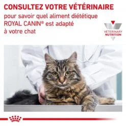 ROYAL CANIN Veterinary Health Nutrition Cat Renal Poisson Sachet Repas -RIMBERIO veterinary diet cat renal poisson sachet repas 6