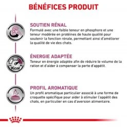 ROYAL CANIN Veterinary Health Nutrition Cat Renal Special -RIMBERIO veterinary diet cat renal special 3