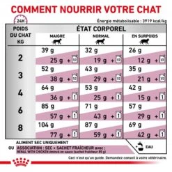 ROYAL CANIN Veterinary Health Nutrition Cat Renal Special -RIMBERIO veterinary diet cat renal special 4
