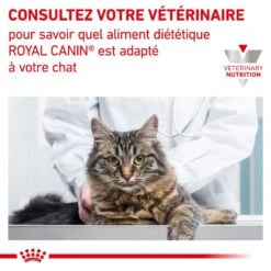 ROYAL CANIN Cat Satiety Weight Management Sachet Repas -RIMBERIO veterinary diet cat satiety sachet repas 7
