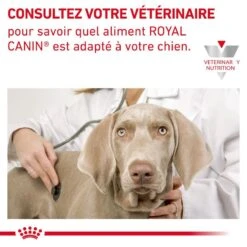 ROYAL CANIN Veterinary Health Nutrition Dog Cardiac Boîte -RIMBERIO veterinary diet dog cardiac boite 5