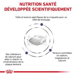 ROYAL CANIN Dog Dental Small Dog Veterinary Health Nutrition -RIMBERIO veterinary diet dog dental small dog 3