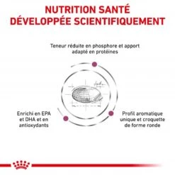 ROYAL CANIN Veterinary Health Nutrition Dog Renal Special -RIMBERIO veterinary diet dog renal special 2