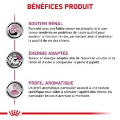 ROYAL CANIN Veterinary Health Nutrition Dog Renal Special Boîte -RIMBERIO veterinary diet dog renal special boite 2