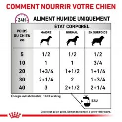ROYAL CANIN Veterinary Health Nutrition Dog Renal Special Boîte -RIMBERIO veterinary diet dog renal special boite 3